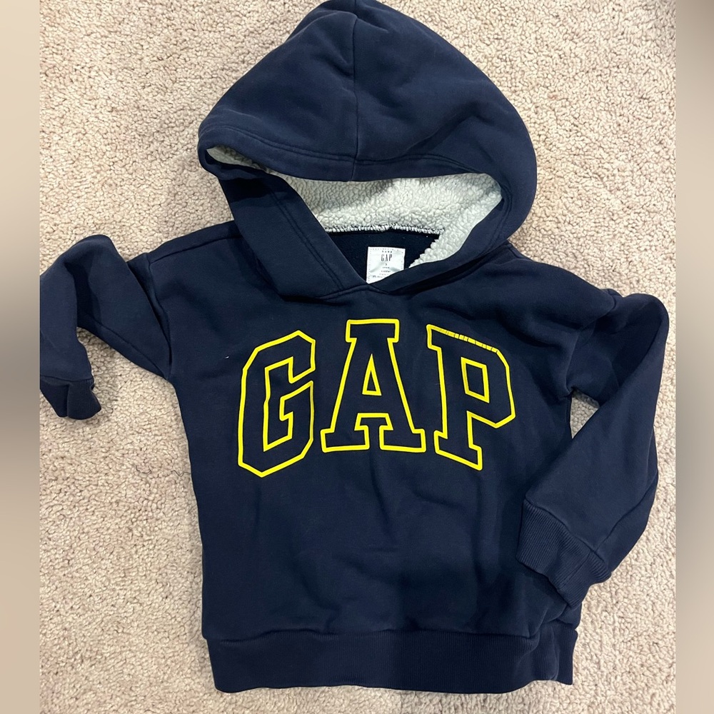 Toddler boys gap hoodie